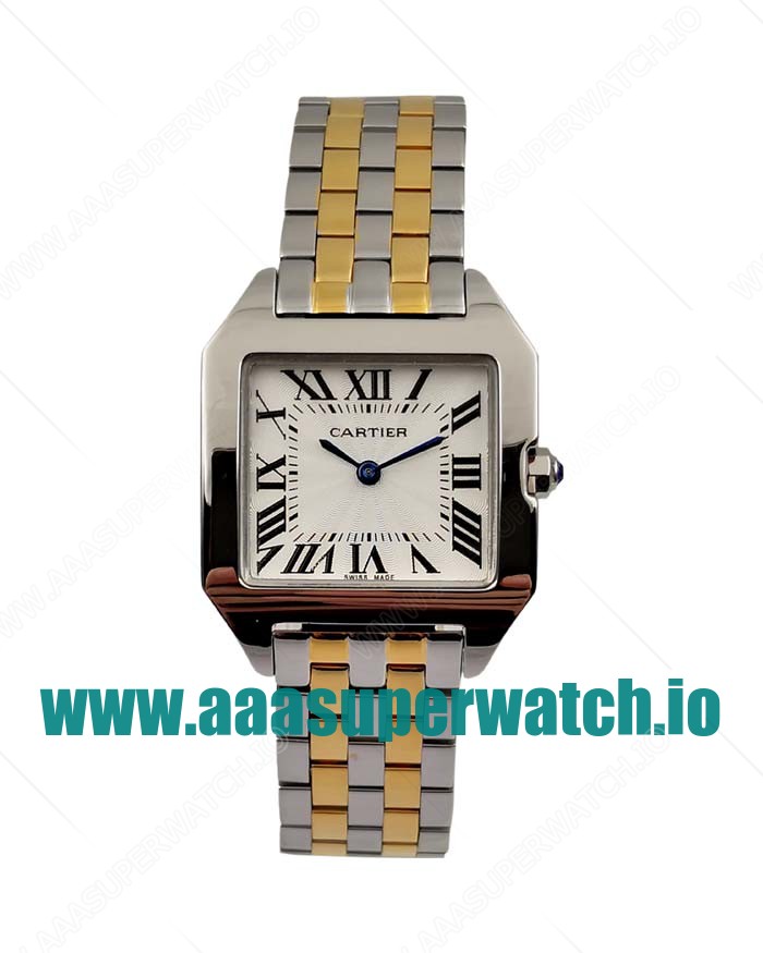 Cartier Replica Santos W25066Z6 - 28 MM