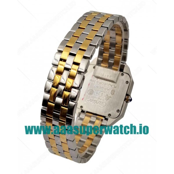 Cartier Replica Santos W25066Z6 - 28 MM