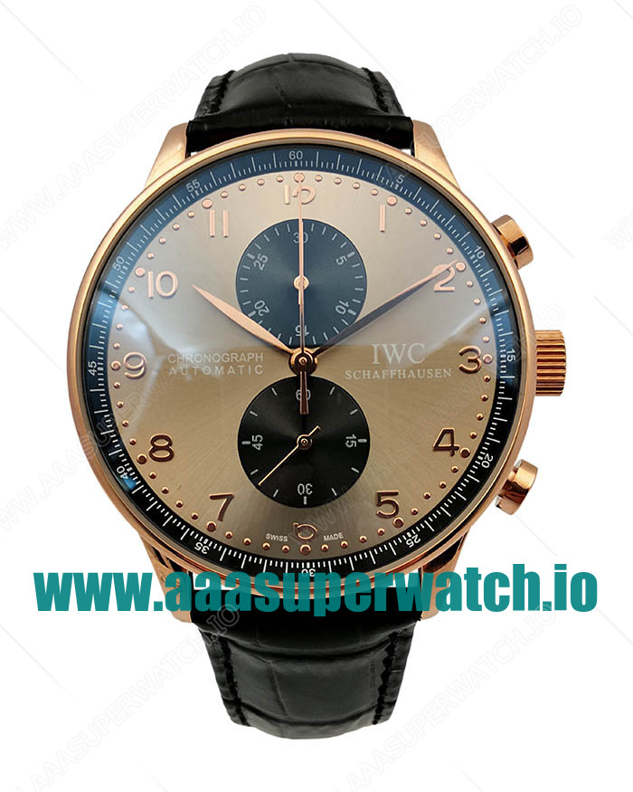 IWC Replica Portugieser IW371482 - 40 MM