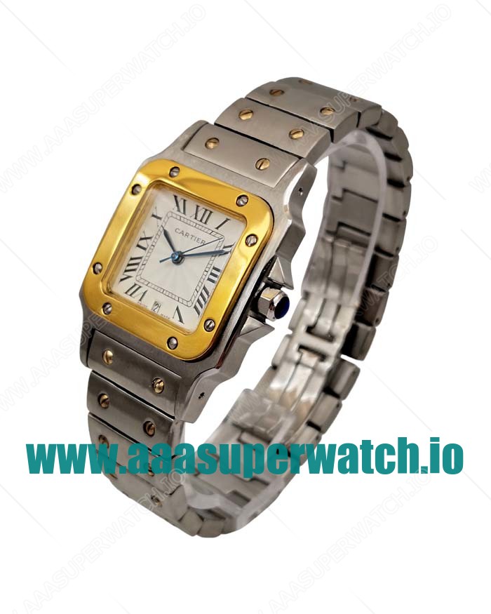 Cartier Replica Santos W20052C4 - 29 MM
