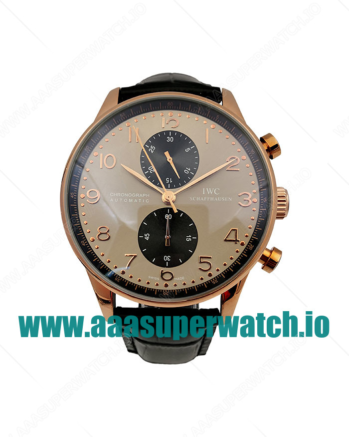 IWC Replica Portugieser IW371482 - 44 MM