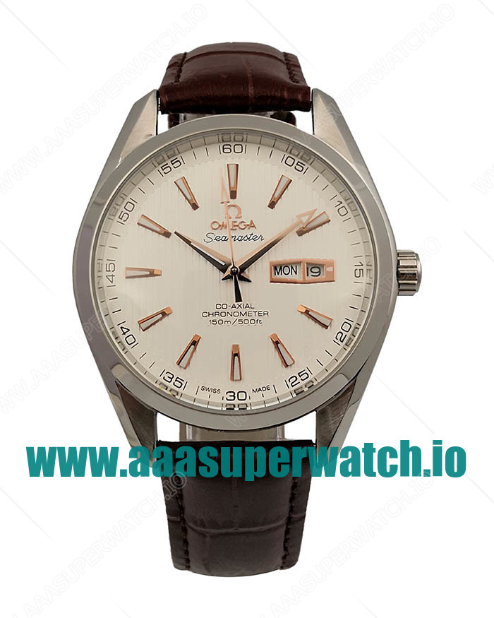 Omega Replica Seamaster Aqua Terra 231.13.43.22.02.002 - 40 MM