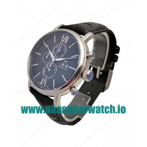 IWC Replica Portofino IW391008 - 44 MM