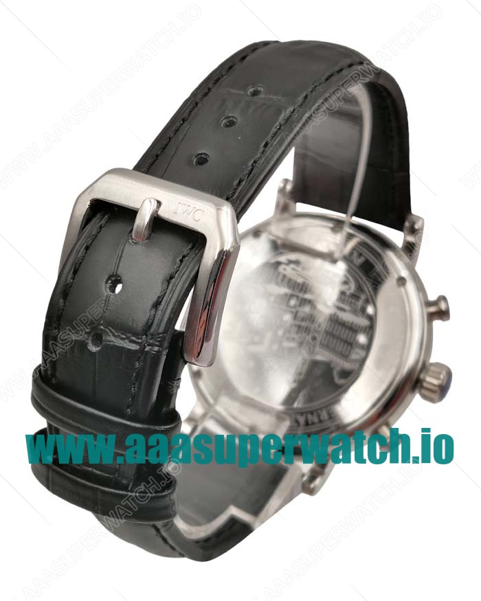 IWC Replica Portofino IW391008 - 44 MM