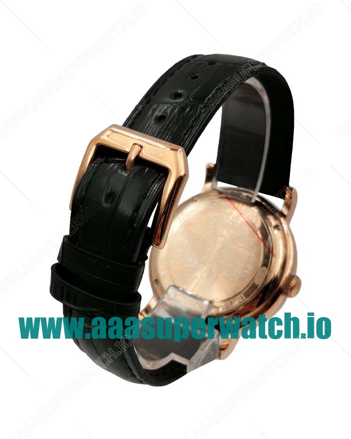 IWC Replica Portofino IW356504 - 41.5 MM